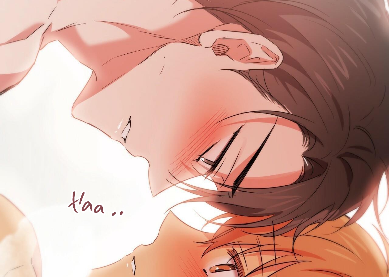 đàn thỏ của habibi chapter 54 215