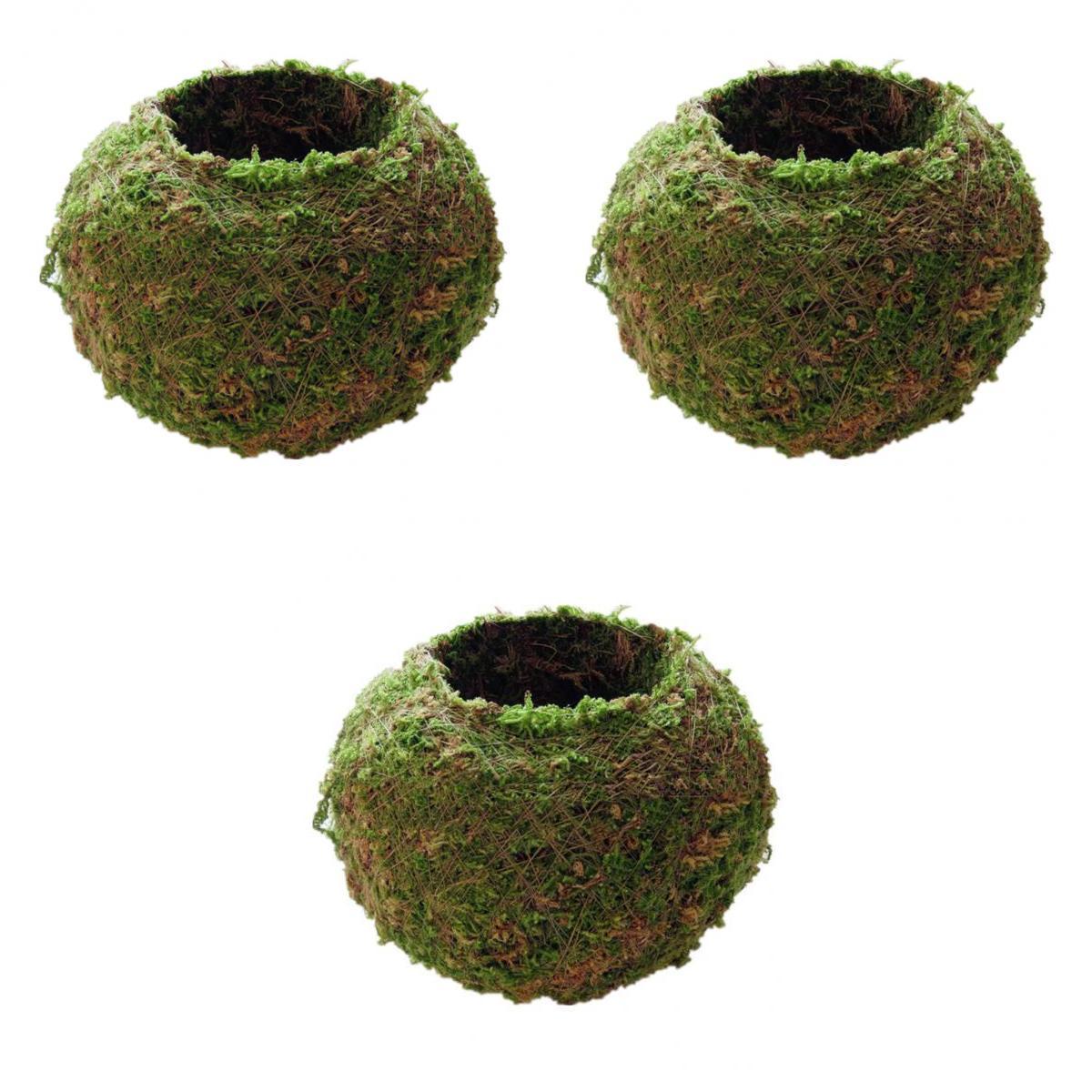 3 Xanh Rêu Bóng Hoa Thực Vật Chứa Cây Cảnh Trang Trí Sân Vườn