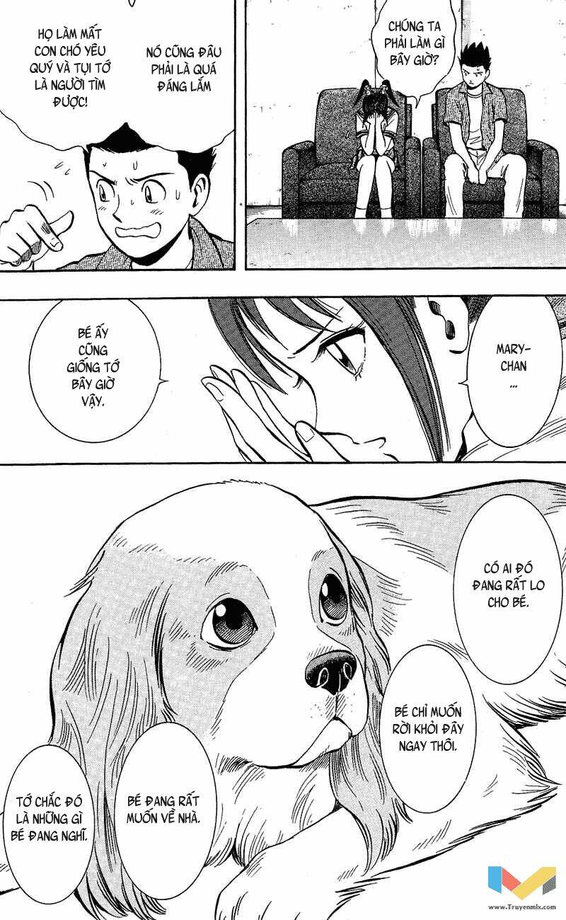 animal sense chapter 5 19