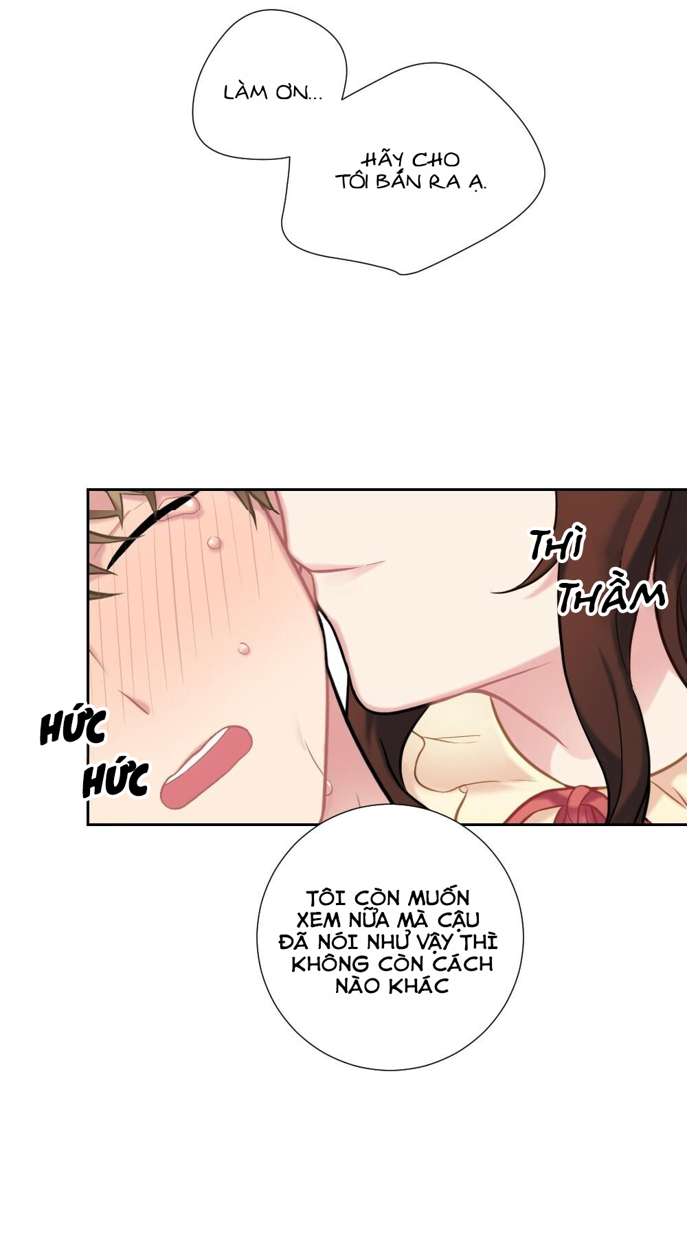 tiểu thư và dàn hầu nam mlem chapter 8 42