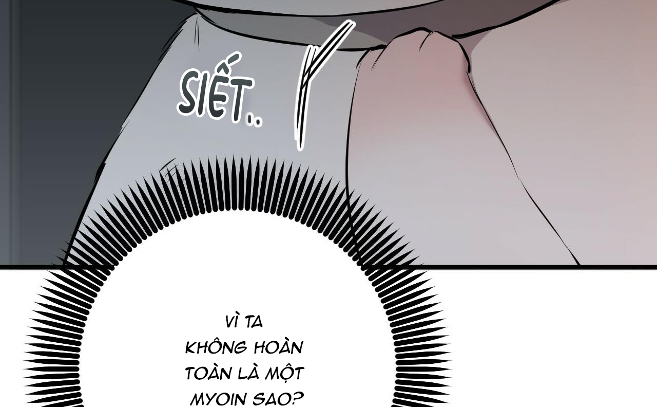 đàn thỏ của habibi chapter 46 241