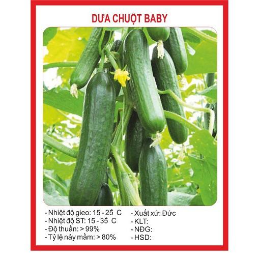 Combo 5 gói hạt giống dưa chuột mix loại – tặng 1 gói kích mầm