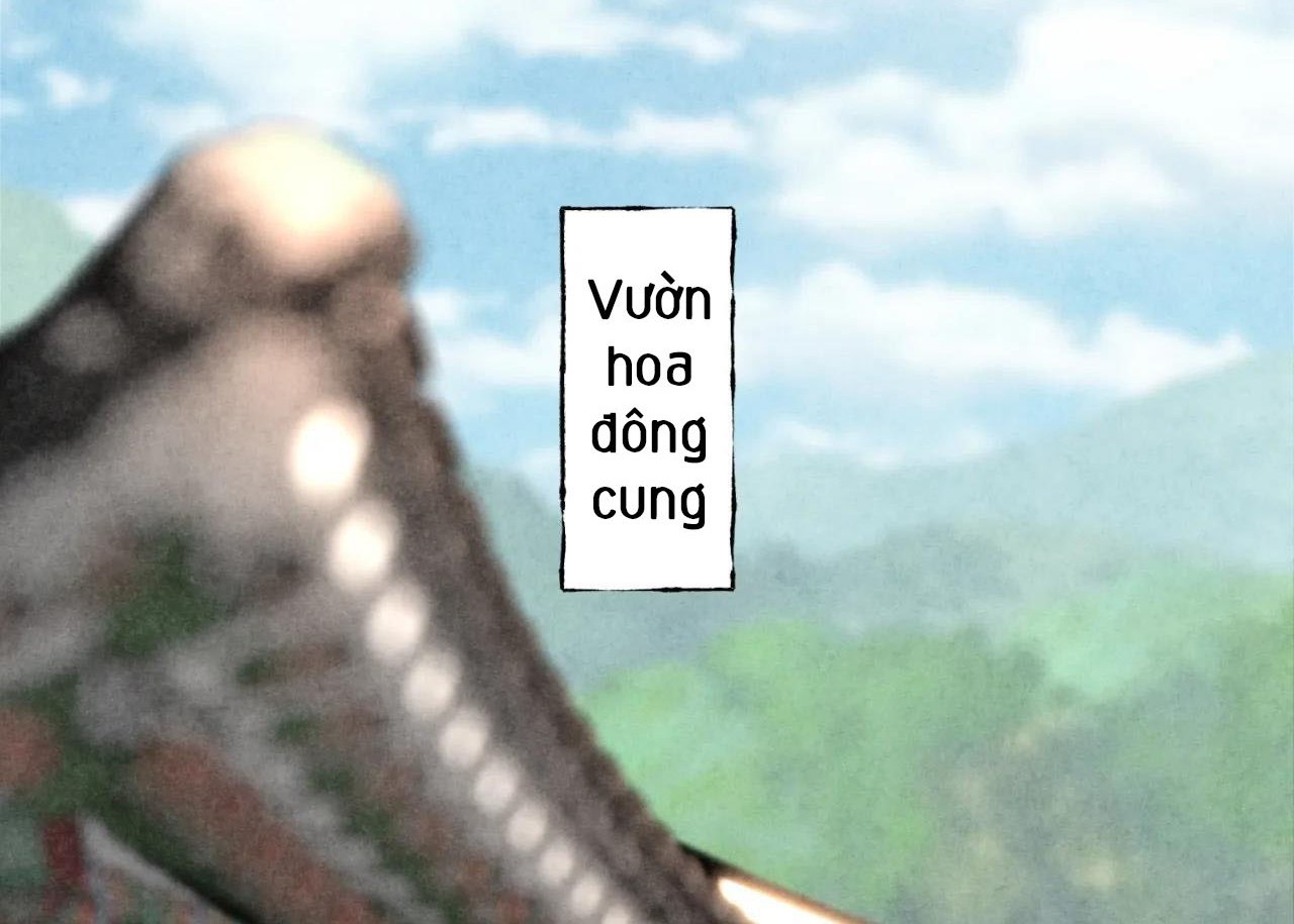 phò mã quan phu chapter 16 65