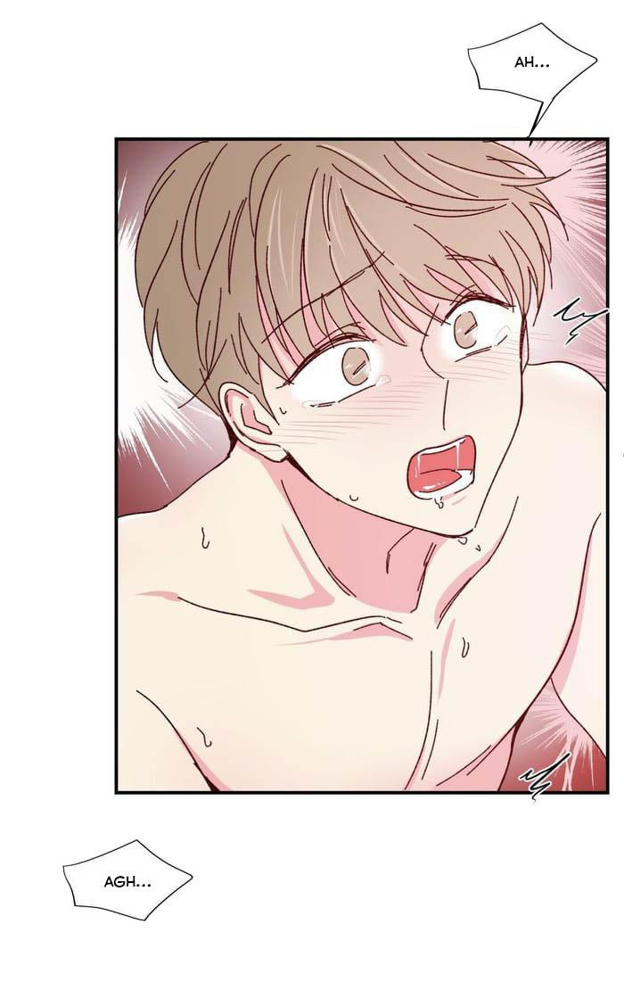 món tráng miệng của sếp tổng chapter 47 29