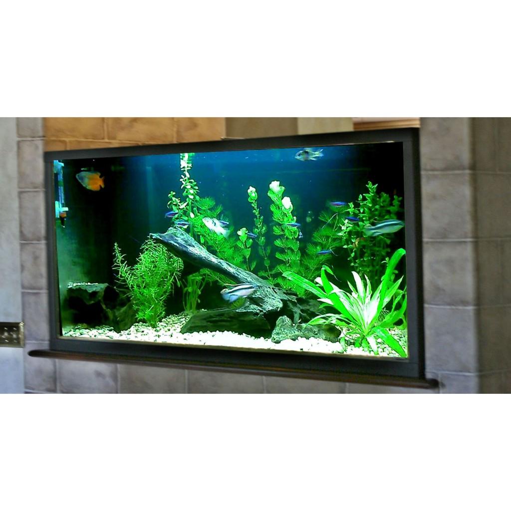 Đèn LED âm nước 6w