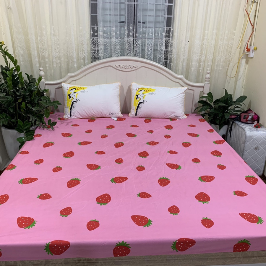 Ga chống thấm cotton - Dâu Tây - Tặng 1 móc khóa Houston