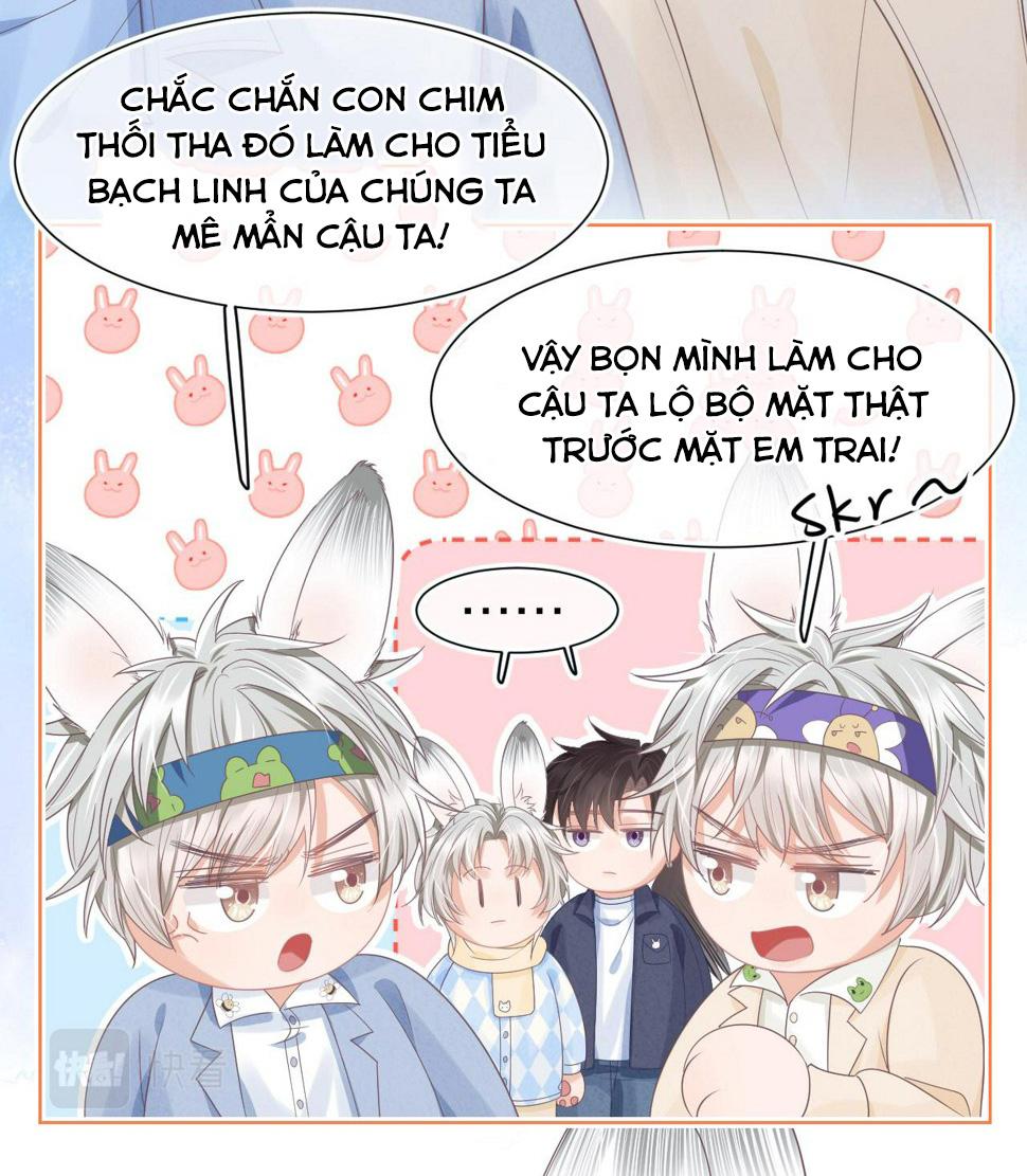 Ss2 Một ngụm ăn cả thỏ con chapter 21