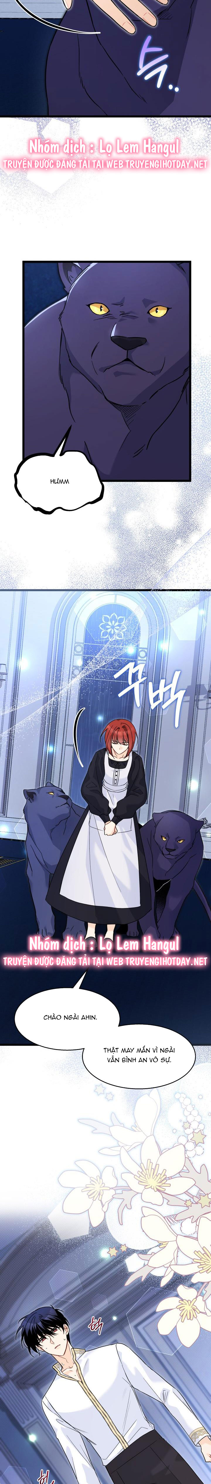 mối liên kết giữa báo đen và bé thỏ chapter 118.1 11