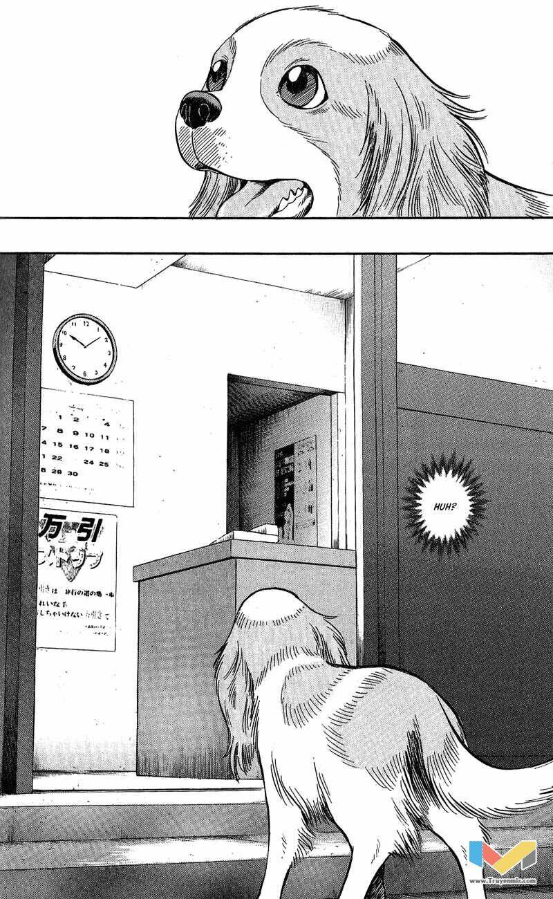 animal sense chapter 7 7