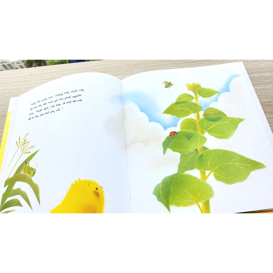 Sách Gà con và hoa hướng dương