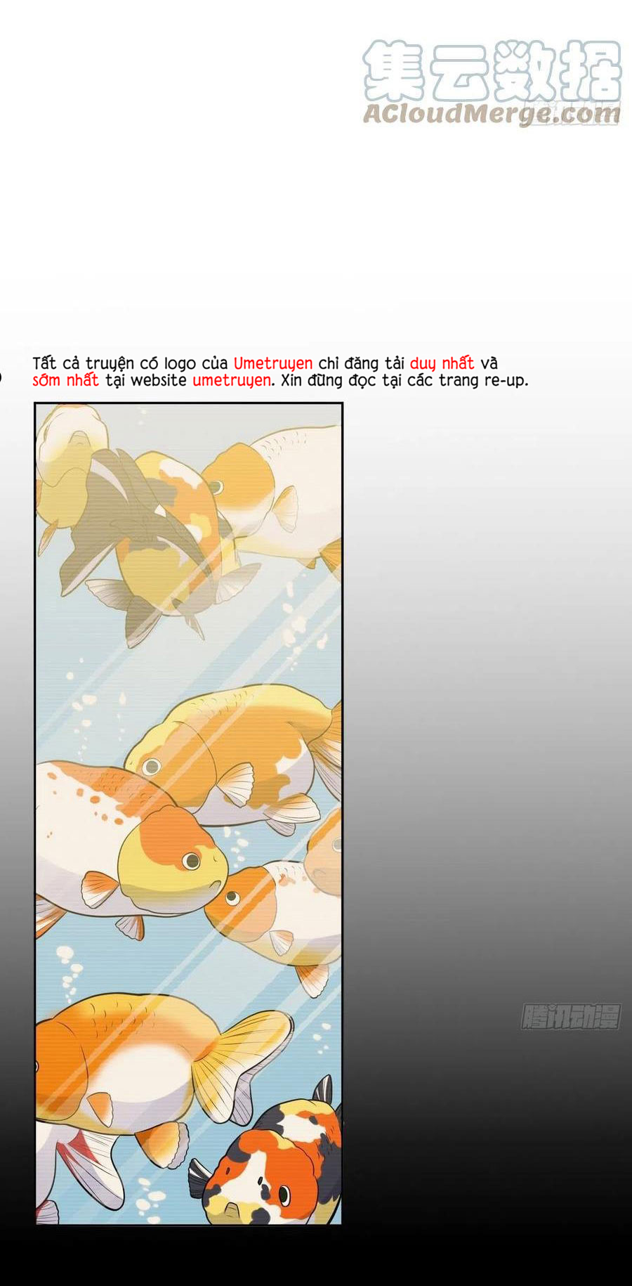 bố vợ đại nhân là bà xã chapter 204 2