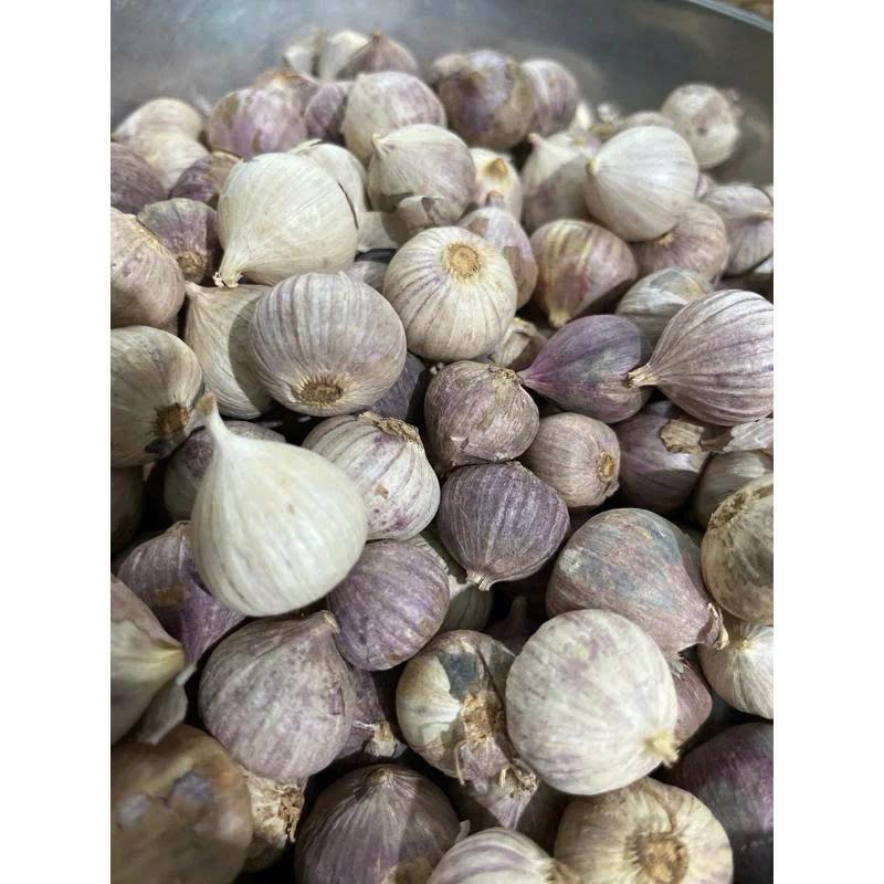 Tỏi cô đơn 1 kg. Đặc sản tỏi cô đơn, tỏi 1 nhánh size vừa