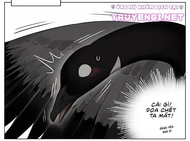 sẻ chiếu mới và nhạn phong sương chapter 3 2