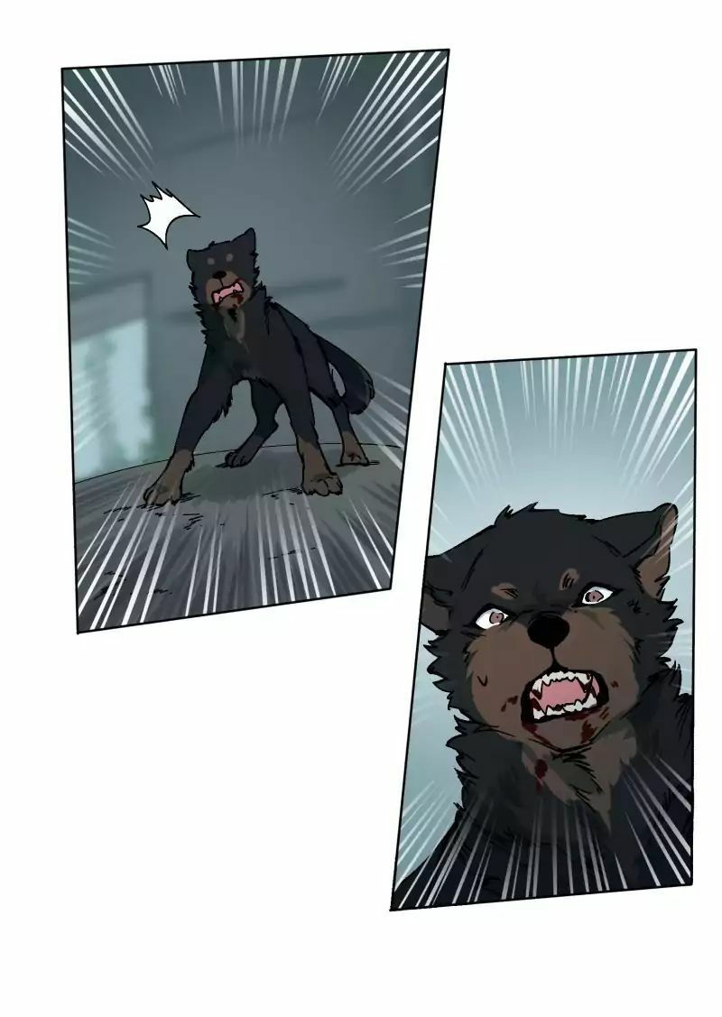 lumine - cội nguồn ánh sáng chapter 26 37