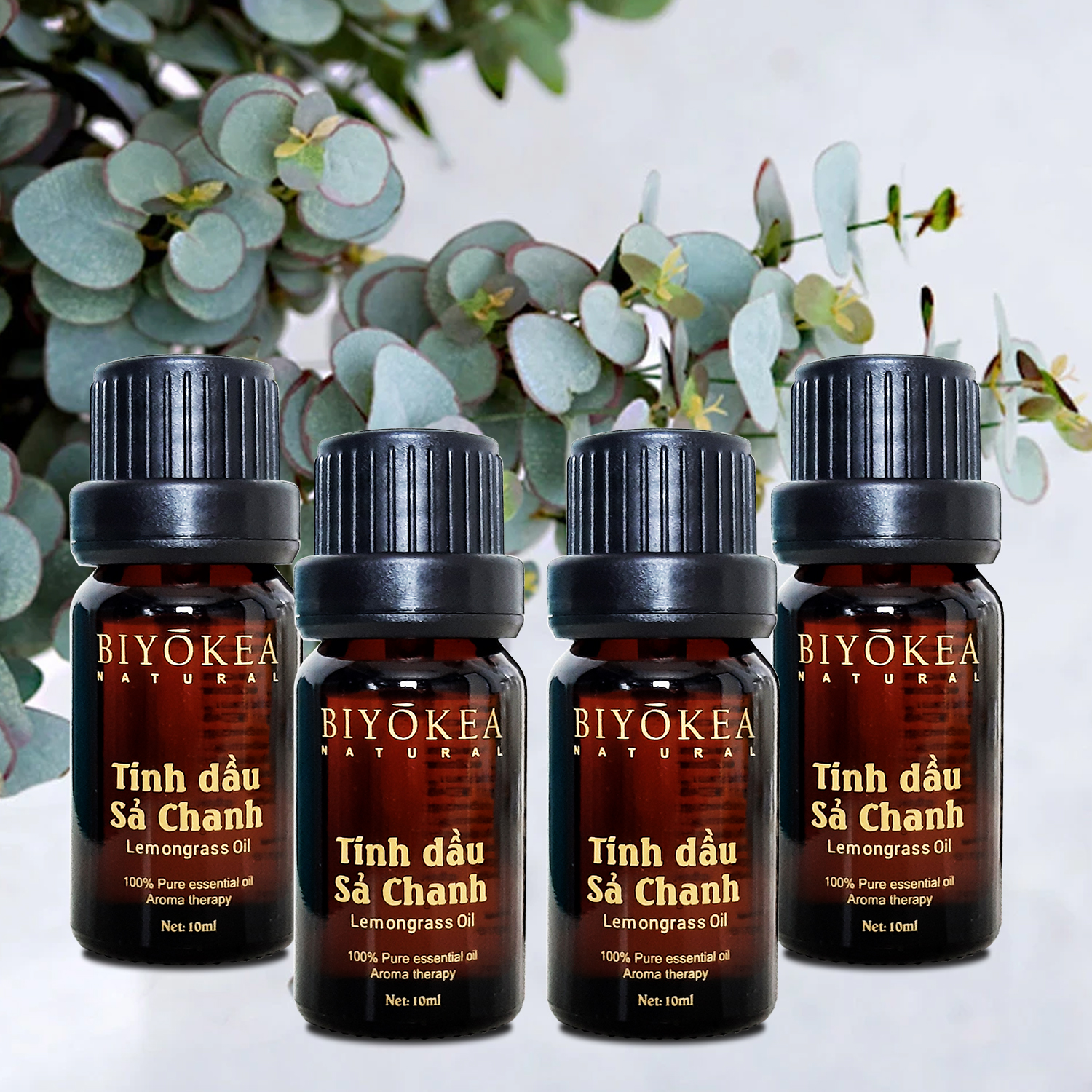 Combo 4 chai tinh dầu Sả chanh thiên nhiên Biyokea xông phòng đuổi muỗi, xông khử mùi dung tích 10ml