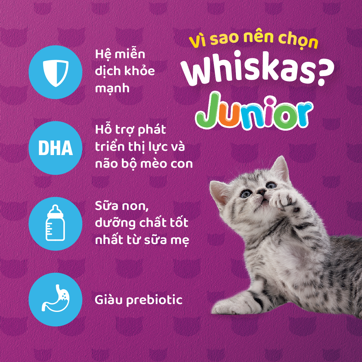 WHISKAS Thức ăn dạng hạt cho mèo con từ 2-12 tháng tuổi, 2.7kg - Vị cá ngừ &amp; cá hồi