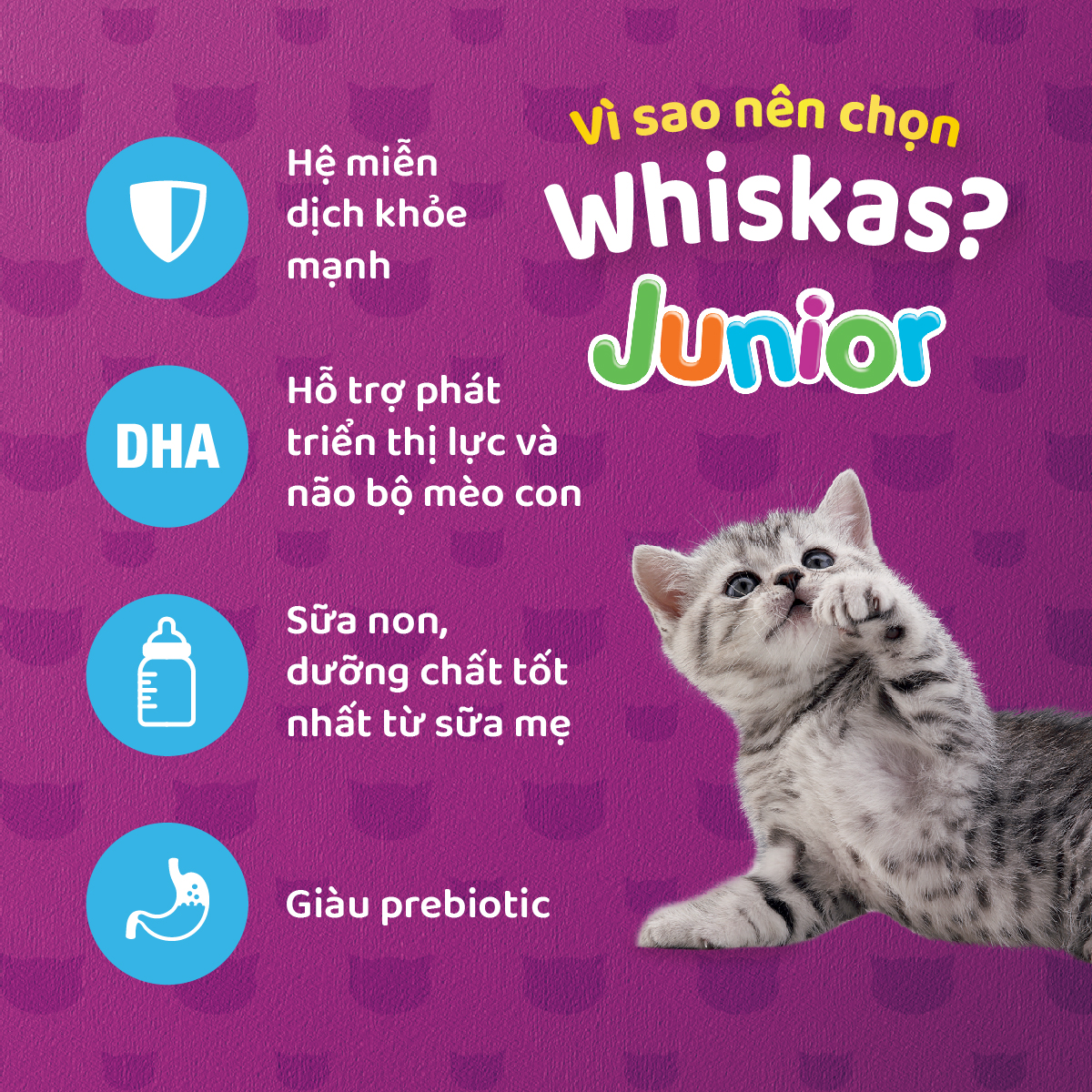 Thức ăn mèo con Whiskas vị cá biển & sữa 1.1kg
