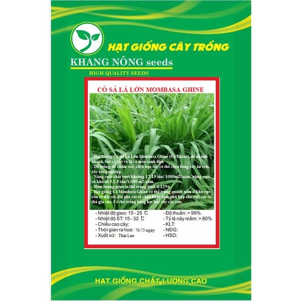 Hạt giống cỏ chăn nuôi Mombasa Ghine  KNS3737 - Gói 50gram