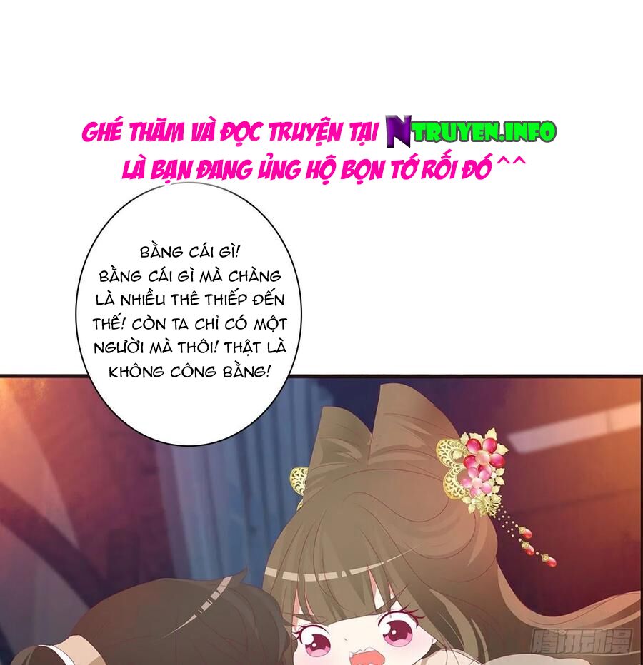 thông linh phi chapter 596 14