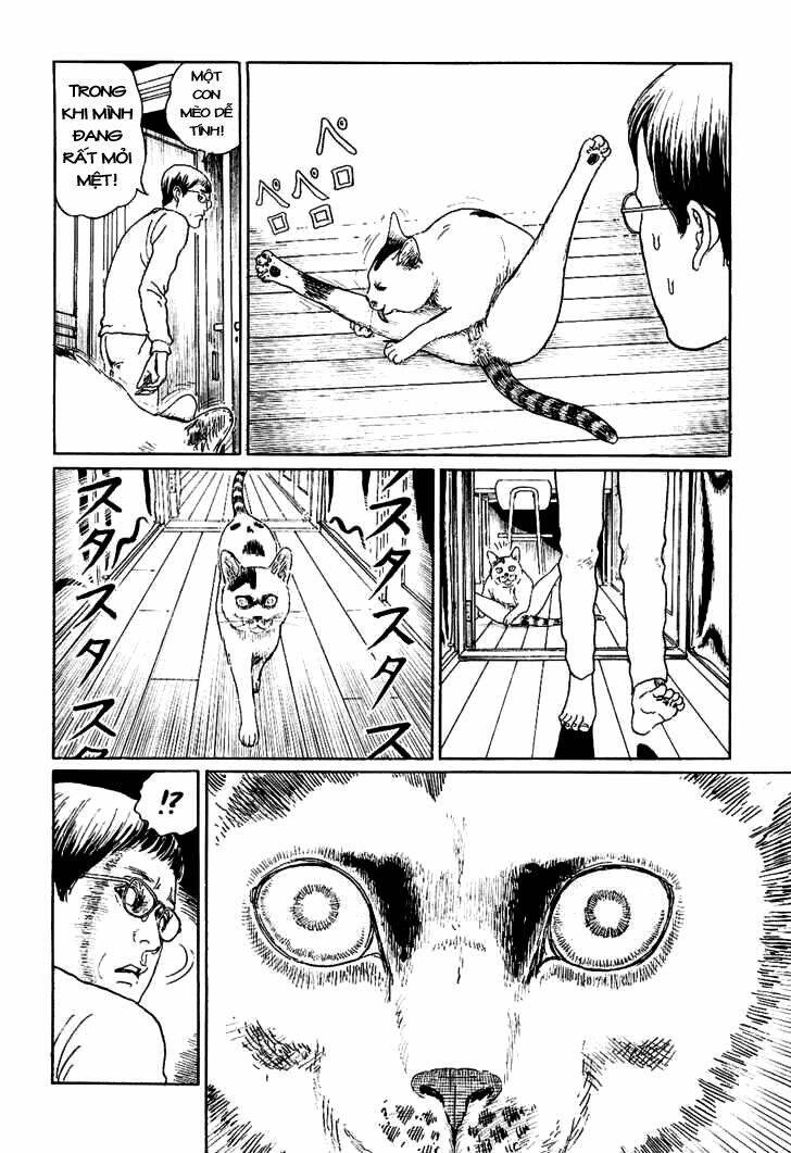 ito junji cat's diary chapter 5 4