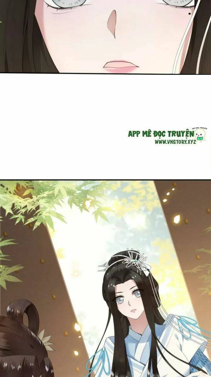 phượng hoàng vu phi chapter 81 31