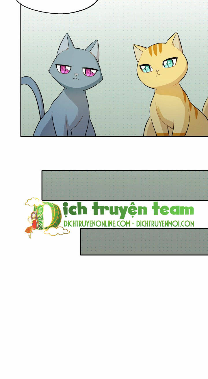 cuộc sống kỳ thú chapter 97 20