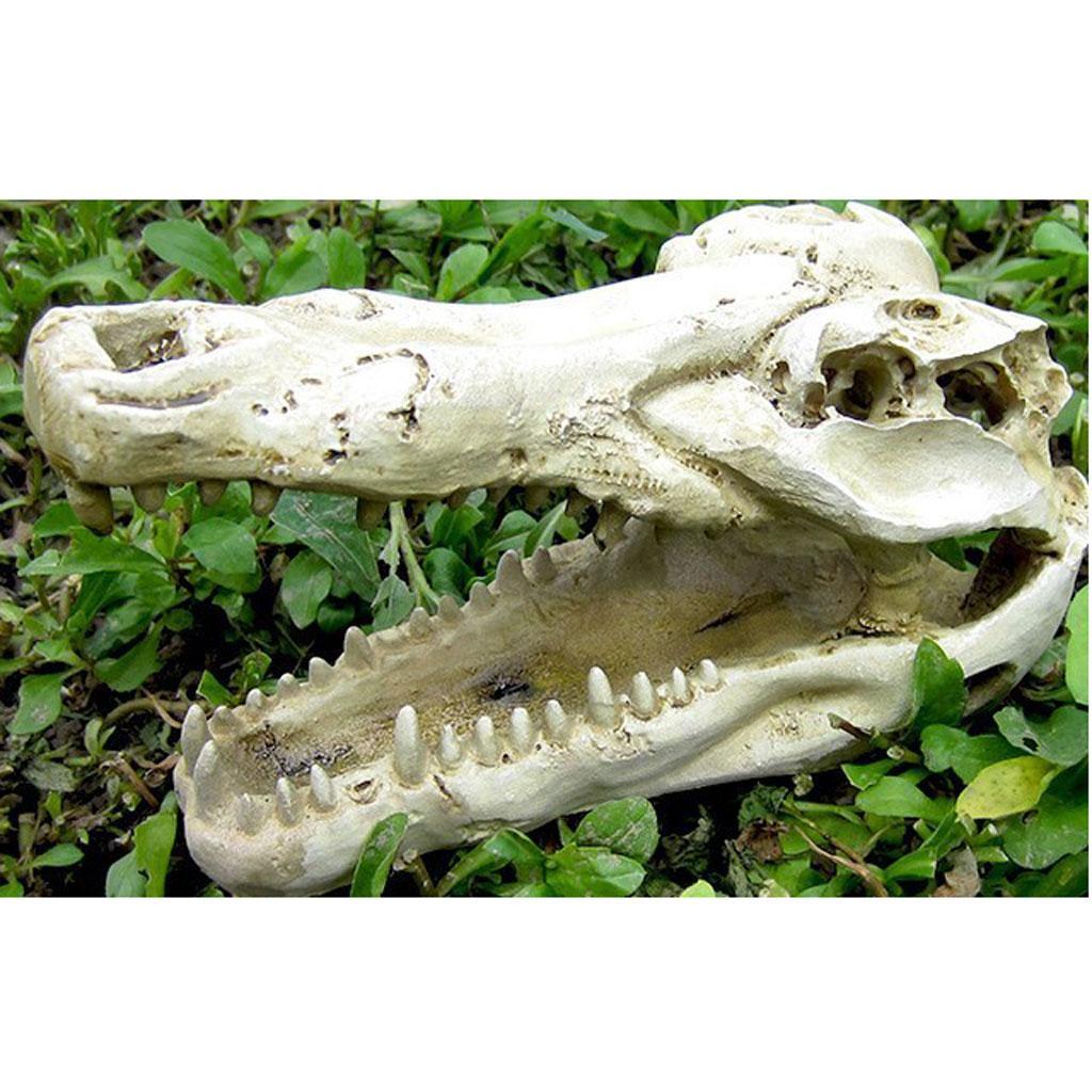 Reptile Terrarium Ornament Lizard Snake Cave Crocodile Skull  Tank Decor
