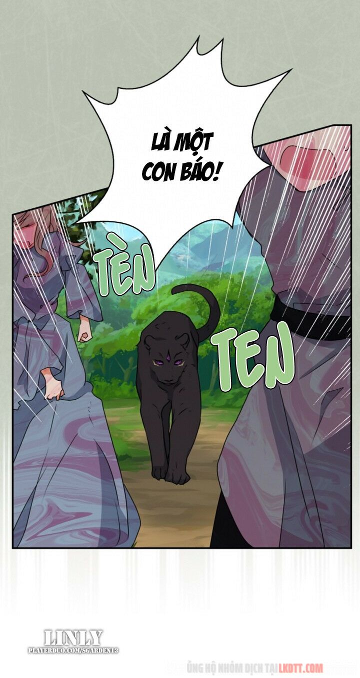 tôi đang nuôi dưỡng một con quái thú chapter 32 10