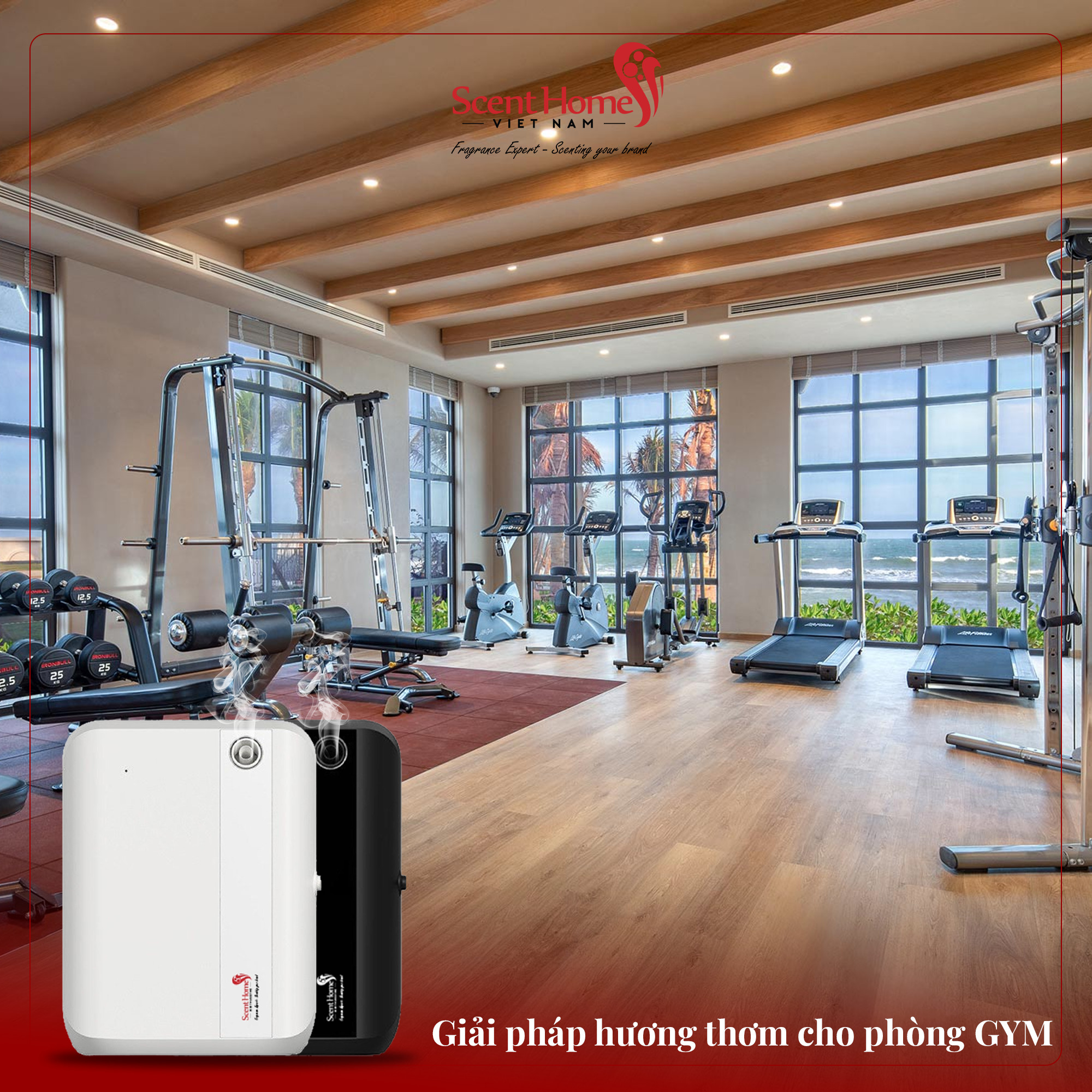 Máy tạo hương thơm cao cấp Scent Homes
