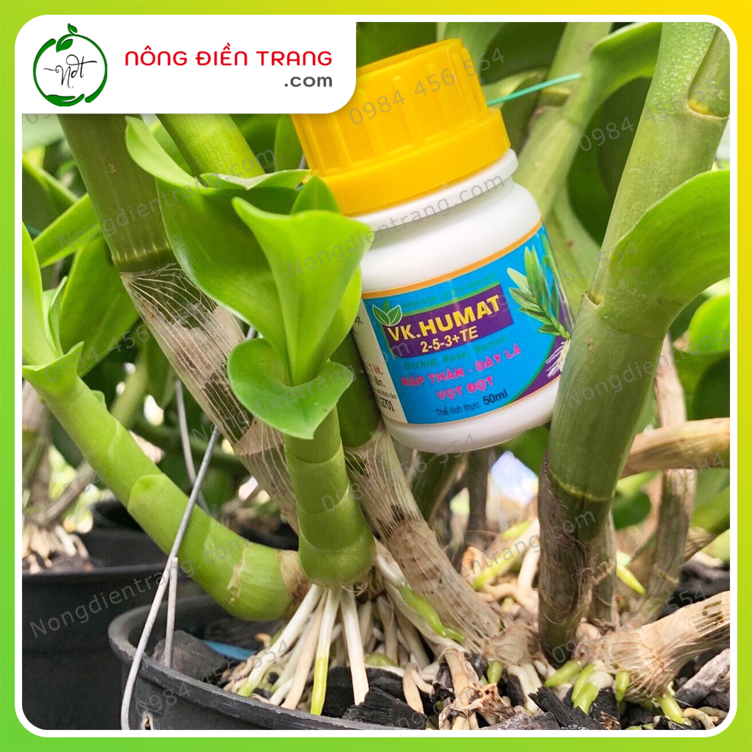Chế phẩm VK HUMAT - Chai 50ml - Mập kie thân, dày lá, xanh lá, vọt đọt chuyên dùng cho lan, hoa hồng, mai, bonsai VTNN Nông Điền Trang