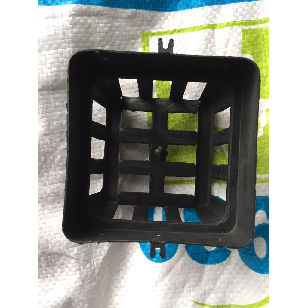 Combo 25 chậu vanda