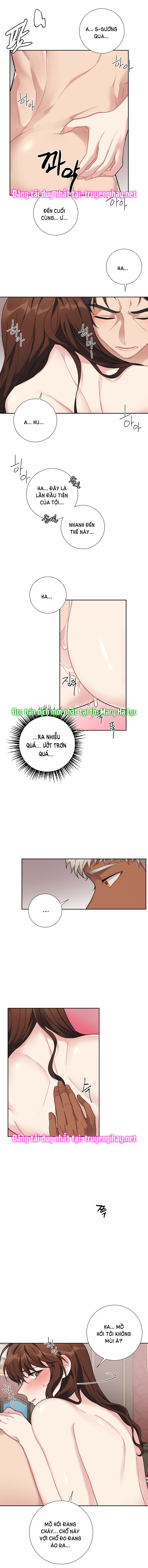 tiểu thư và dàn hầu nam mlem chapter 22 7