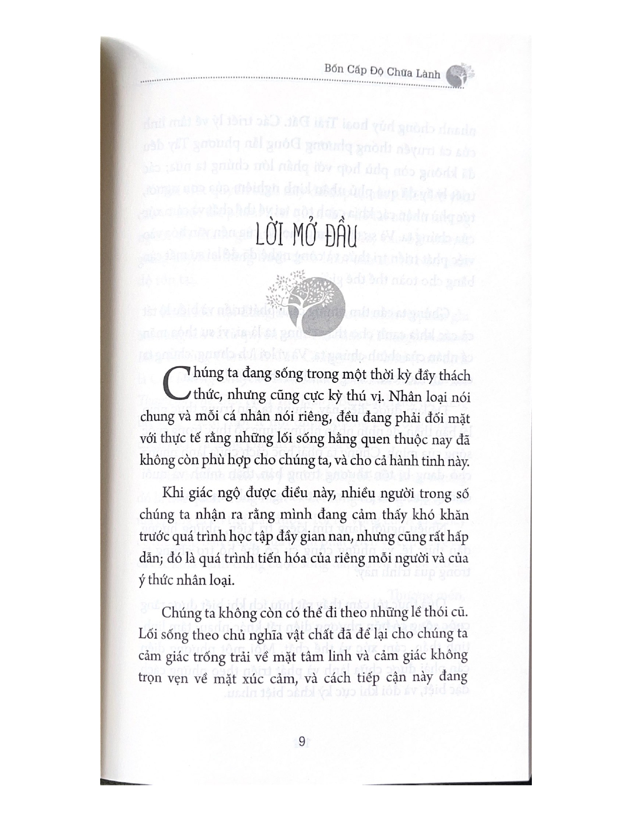 Tủ Sách Tâm Linh Thế Kỷ - Bốn Cấp Độ Chữa Lành - Vanlangbooks