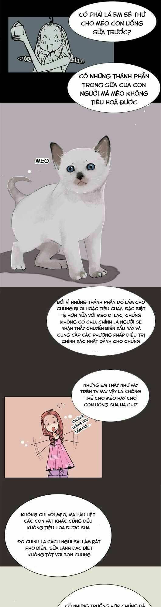 pet diary chapter 19 12