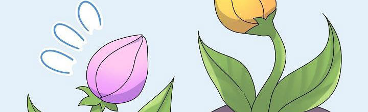 tái sinh thành con gái nam chính chapter 28 227