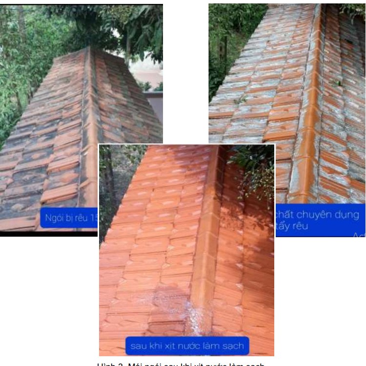 Hóa chất tẩy rêu mốc bám trên gạch ngói tẩy rửa cực mạch mà không ảnh hưởng đến bề mặt vật liệu.Bestclean c44.Chống thấm Vmix