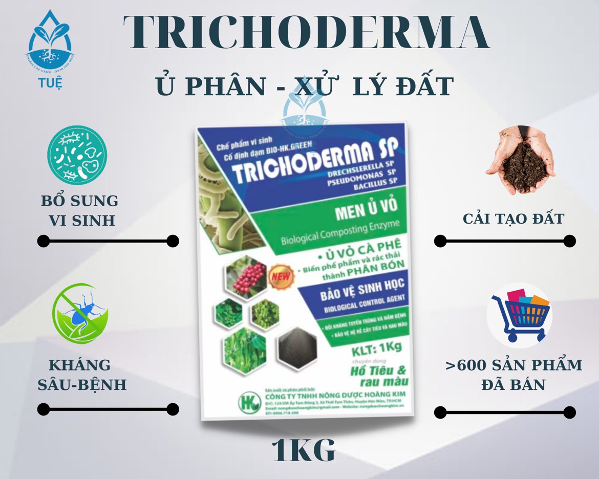 Chế phẩm men vi sinh nấm TRICHODERMA dùng ủ phân và xử lý đất