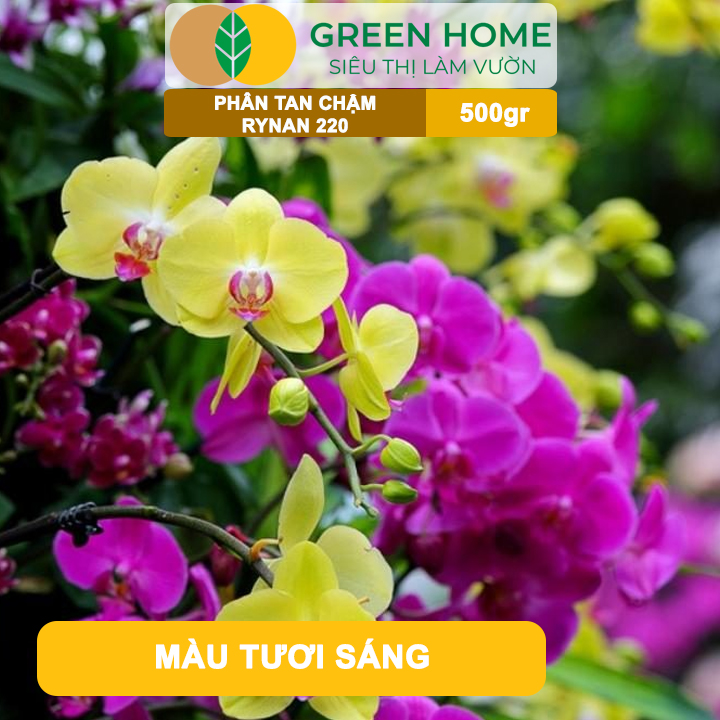 Phân Tan Chậm GreenHome, Rynan 220, Bao 500gr, Dùng Cho Phong Lan Ra Hoa, Hoa Bền Màu