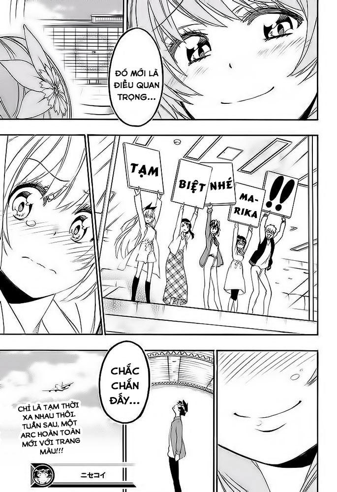 nisekoi - tình yêu giả tạo chapter 195 20