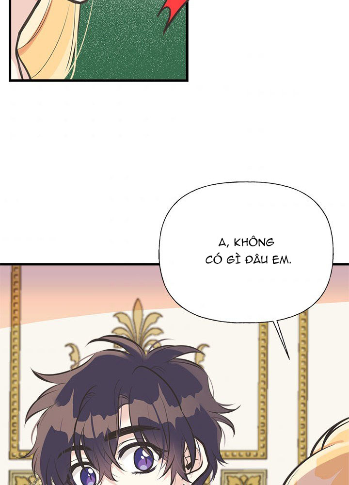 chị tôi đã nhặt về một nam chính quyến rũ chapter 52 49