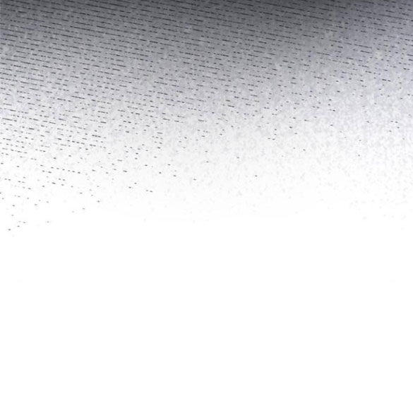 cách hiệp sĩ sống như một tiểu thư chapter 98.1 42