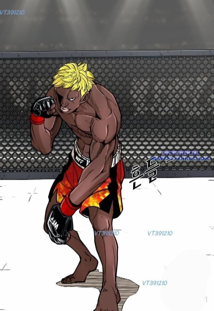 shark - cá mập chapter 260 57