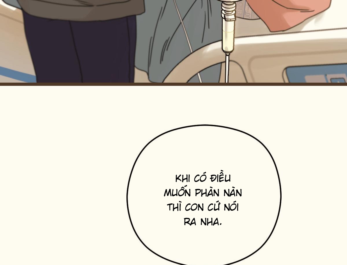 tương phùng chapter 29 166