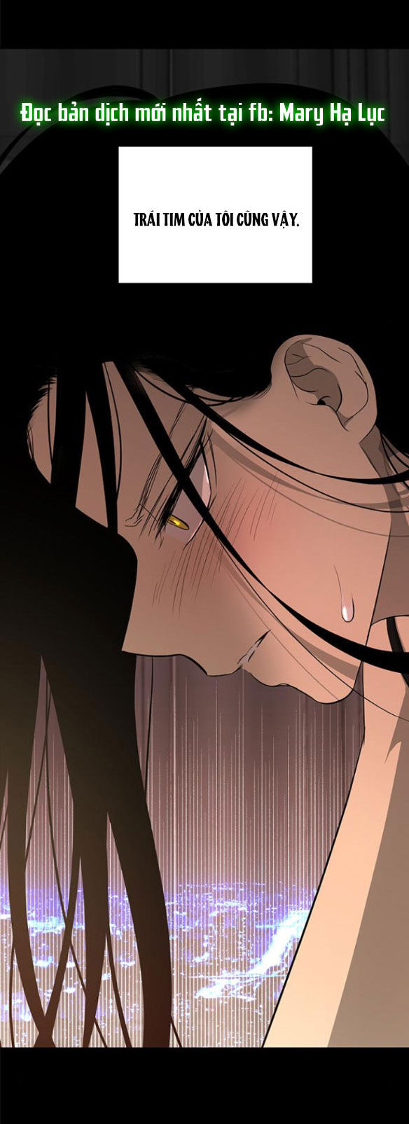 Cạm Bẫy chapter 158.2 44