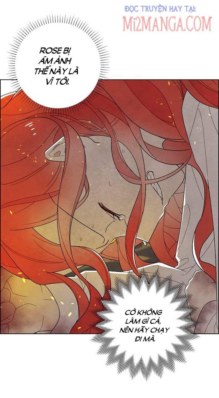 tôi đã cướp mất đêm đầu tiên của nam chính chapter 71.5 6