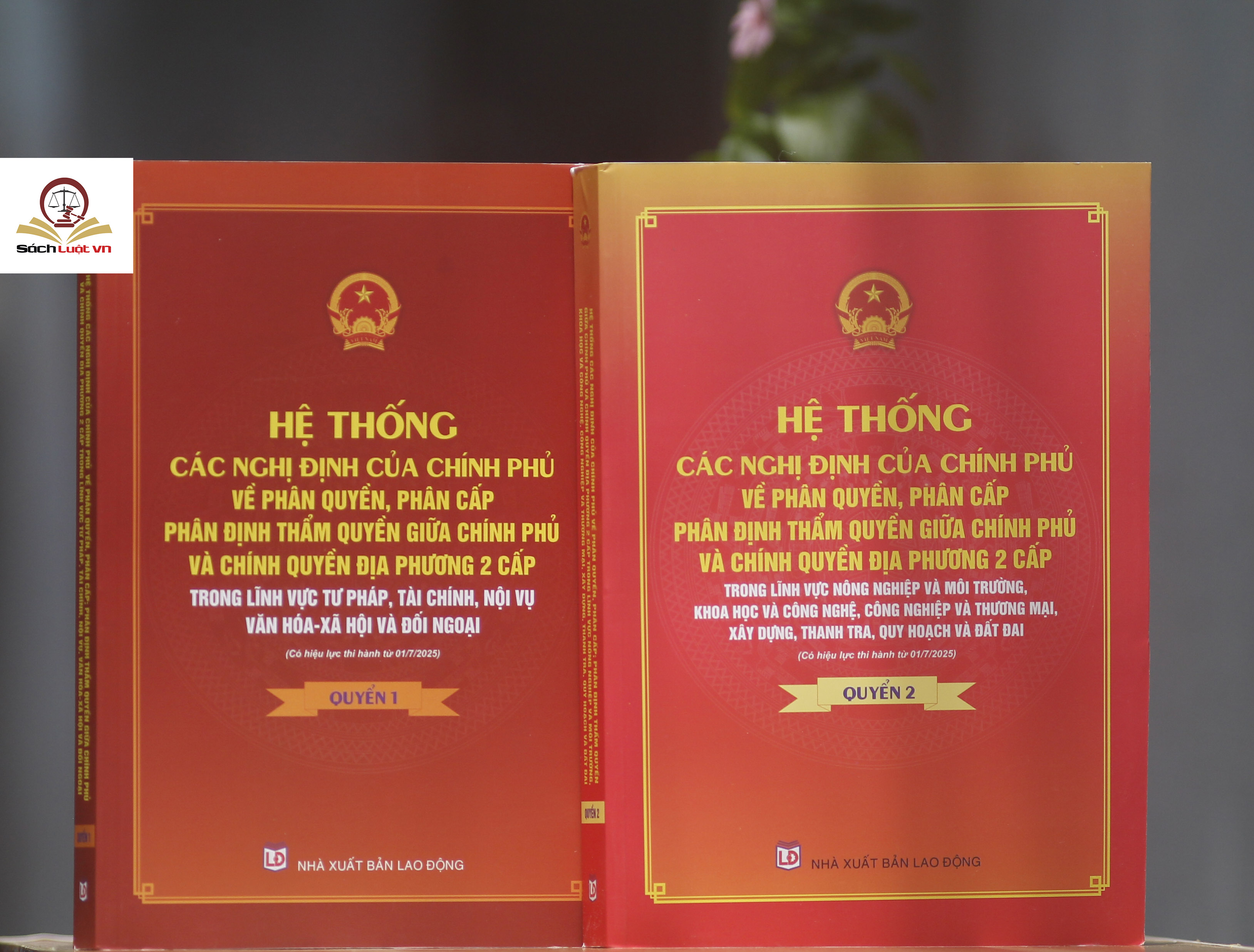 Hệ thống các nghị định của Chính phủ về phân quyền, phân cấp; phân định thẩm quyền Chính phủ và chính quyền địa phương 2 cấp (quyển 1 và 2)