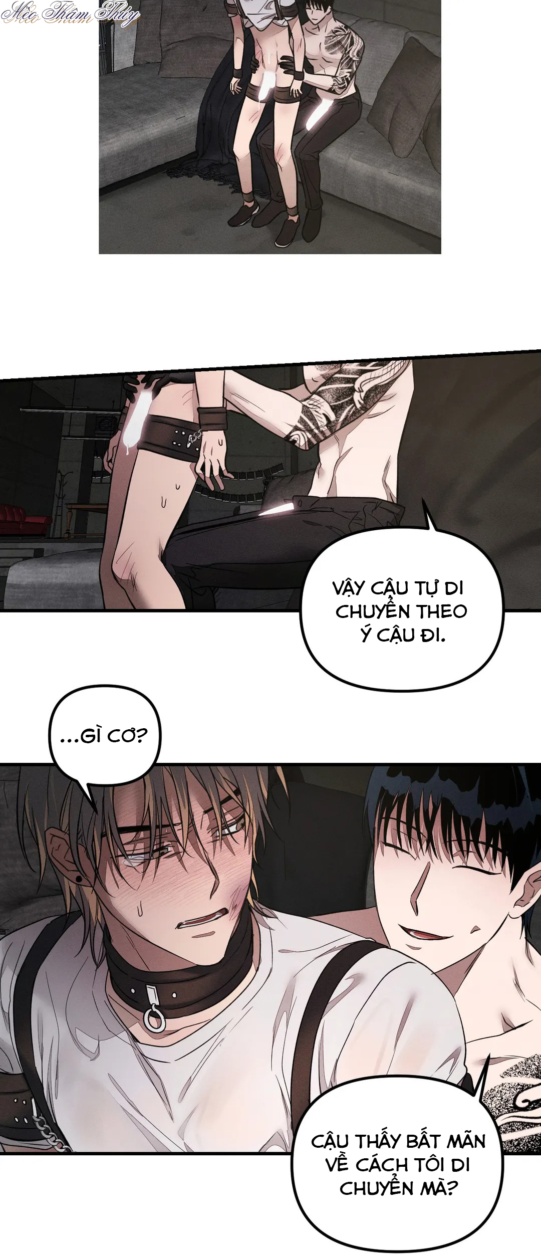 huấn luyện thú cưng chapter 3 30