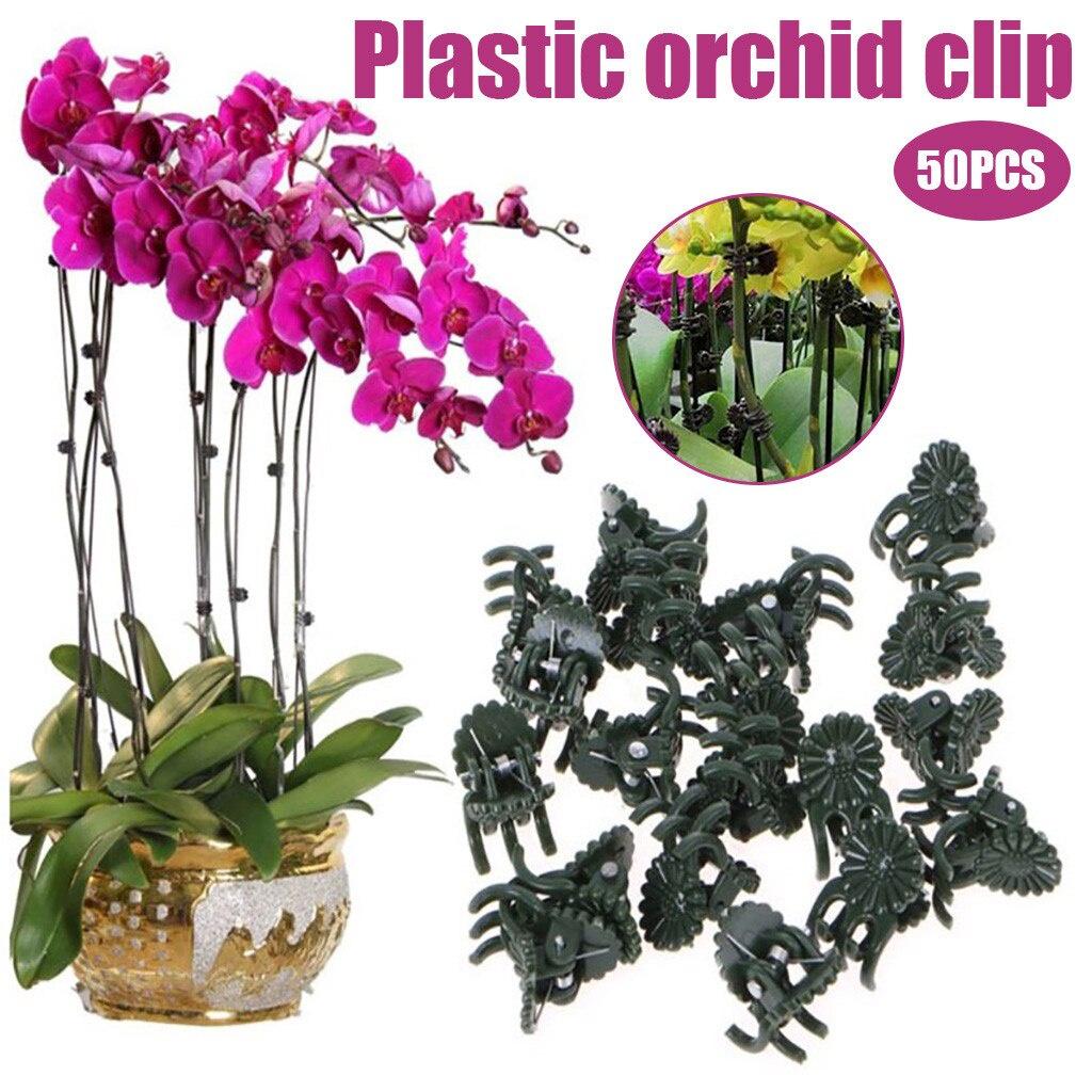 Artificial Plant Clip Gardening Clip Vine Fixing Clip Plastic Grafting Clip Plant Clip Reusable 50pcs/100PCS