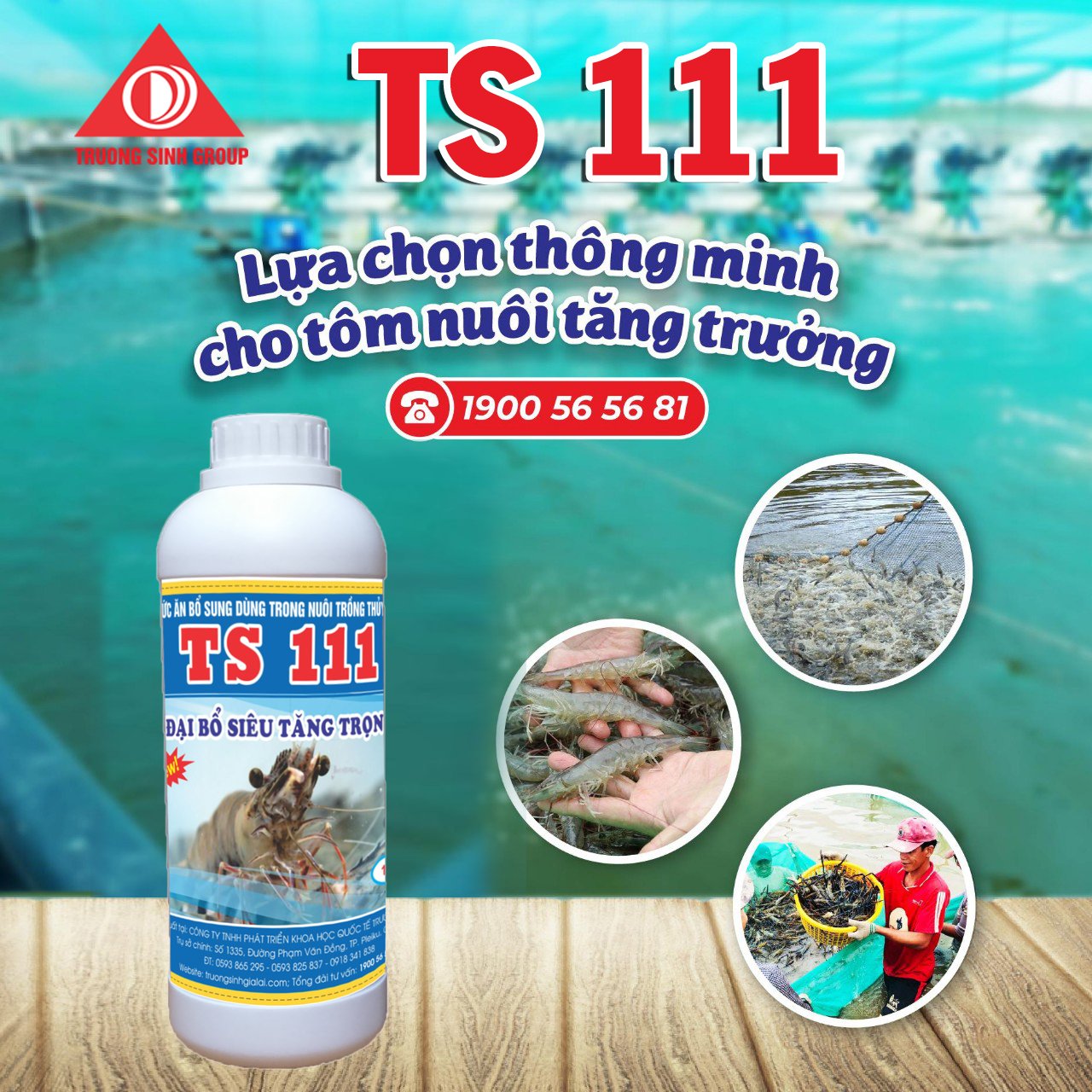 TS111 - Siêu tăng trọng