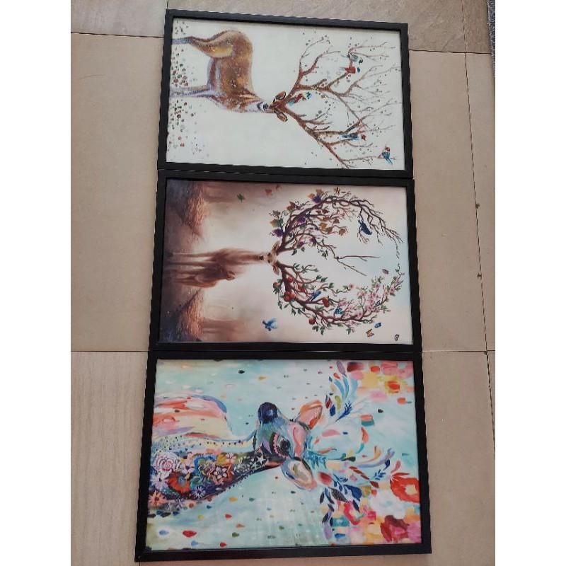 Combo 3 tấm tranh canvas hình con nai